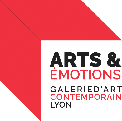 Arts et Emotions Galerie Art Contemporain à Lyon Geneve Annecy, Grenoble